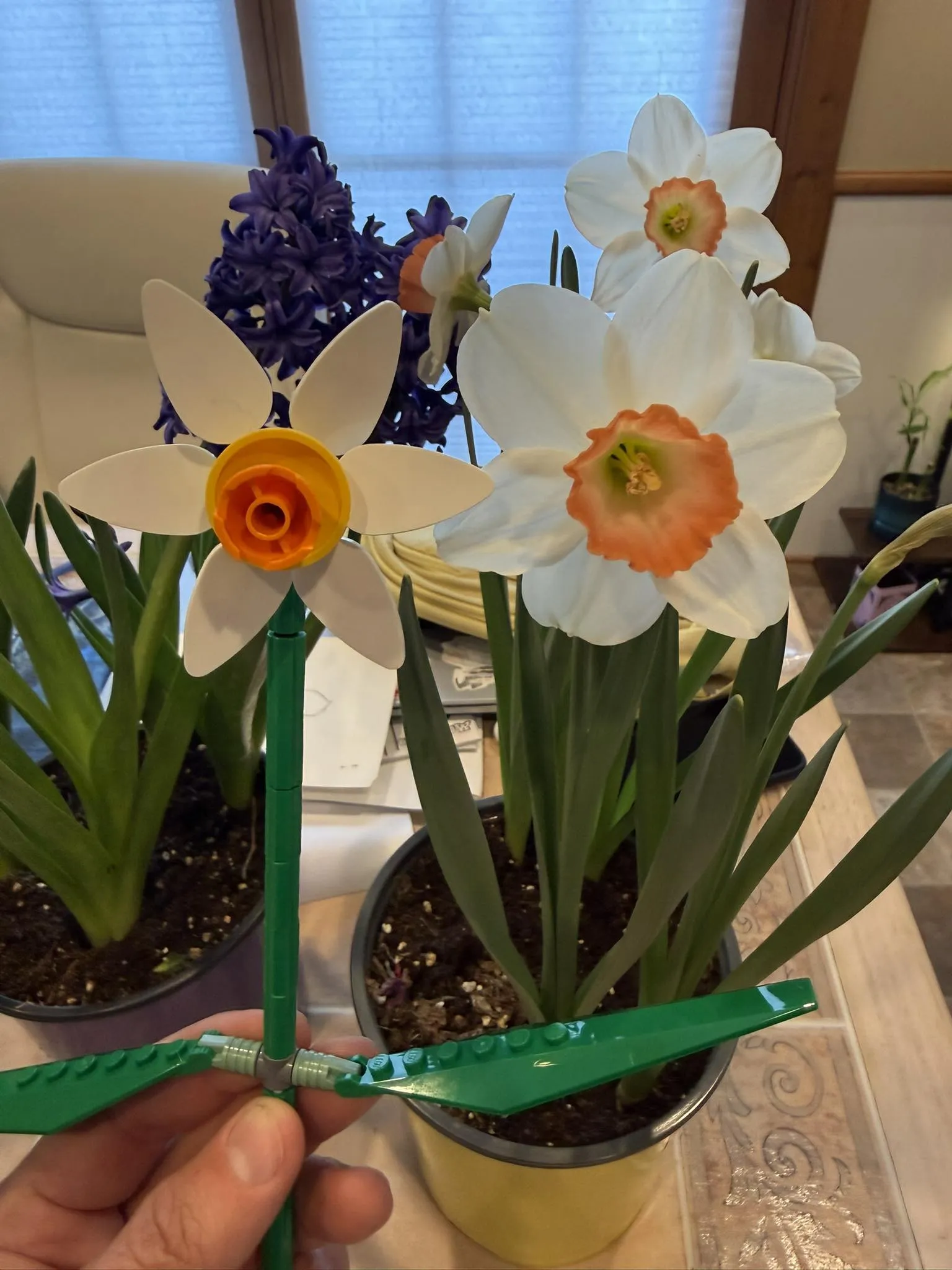 flowers