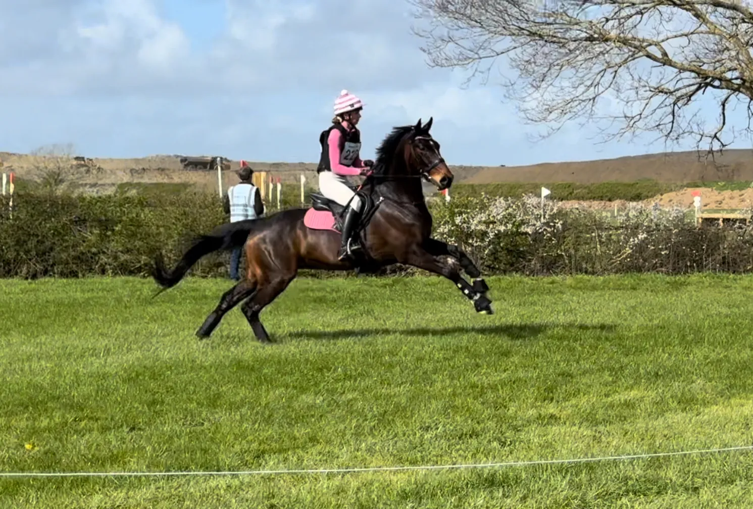 Happy horse