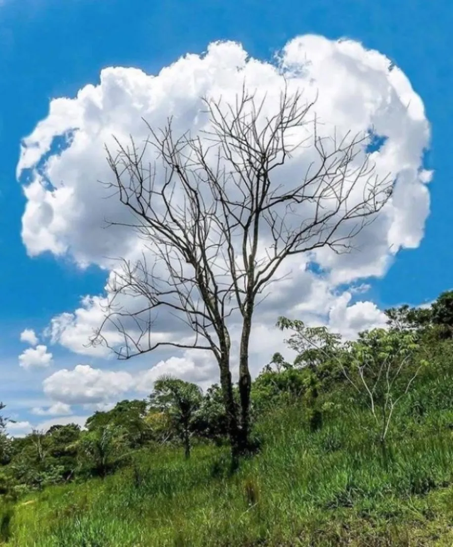 cloud