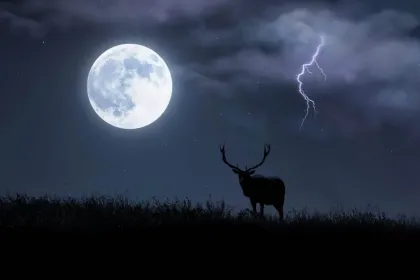 full Moon 29/07/2026 jigsaw puzzle