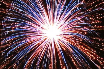Single Firework jigsaw puzzle