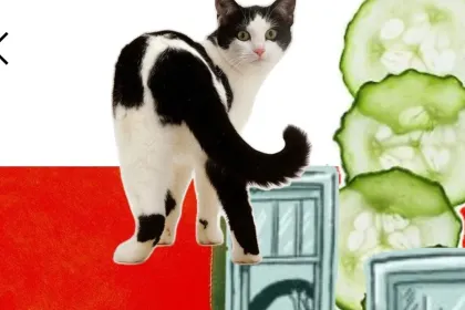 collage jigsaw puzzle