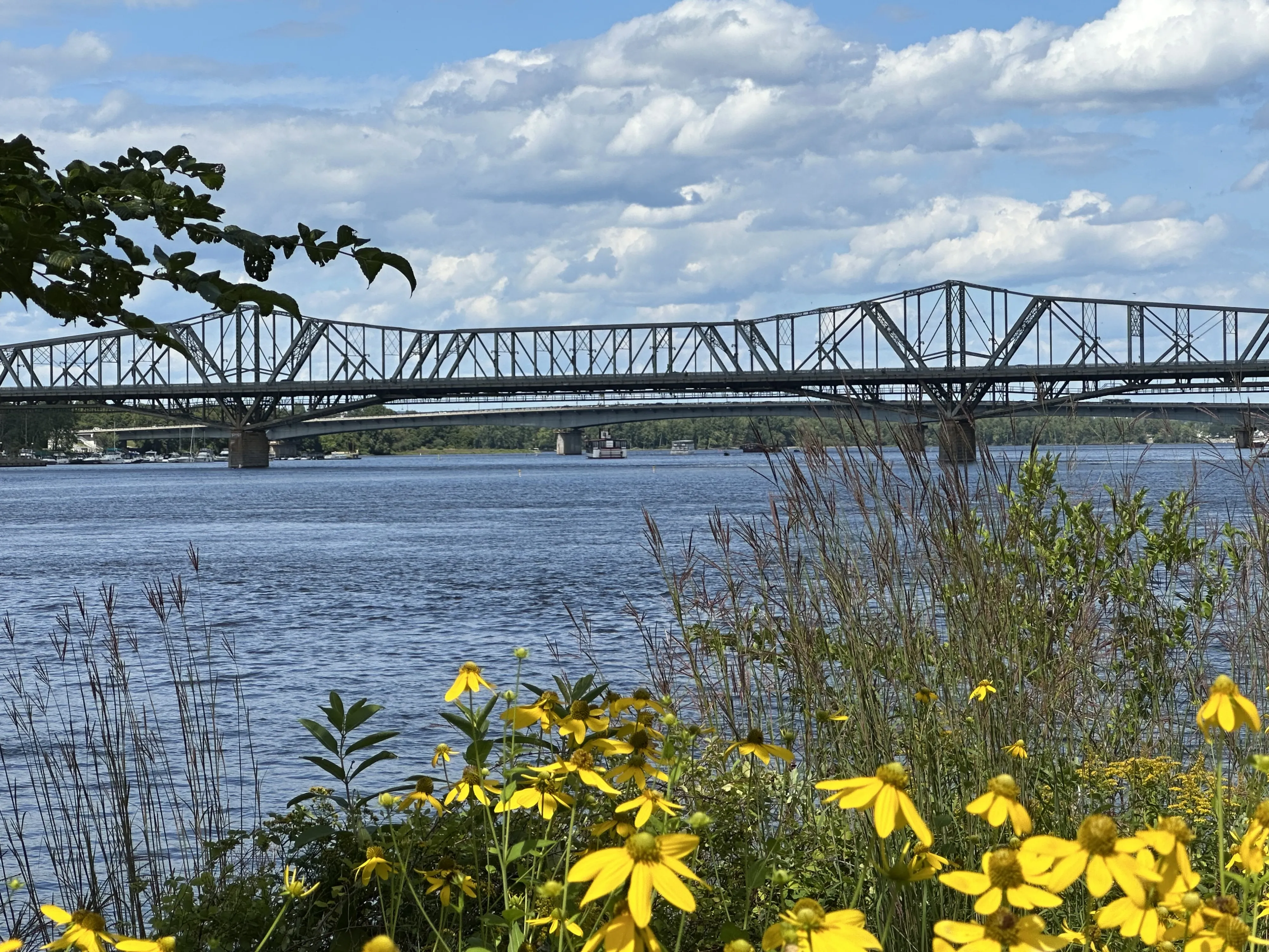 River bridge with flowers