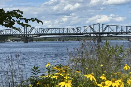 River bridge with flowers jigsaw puzzle