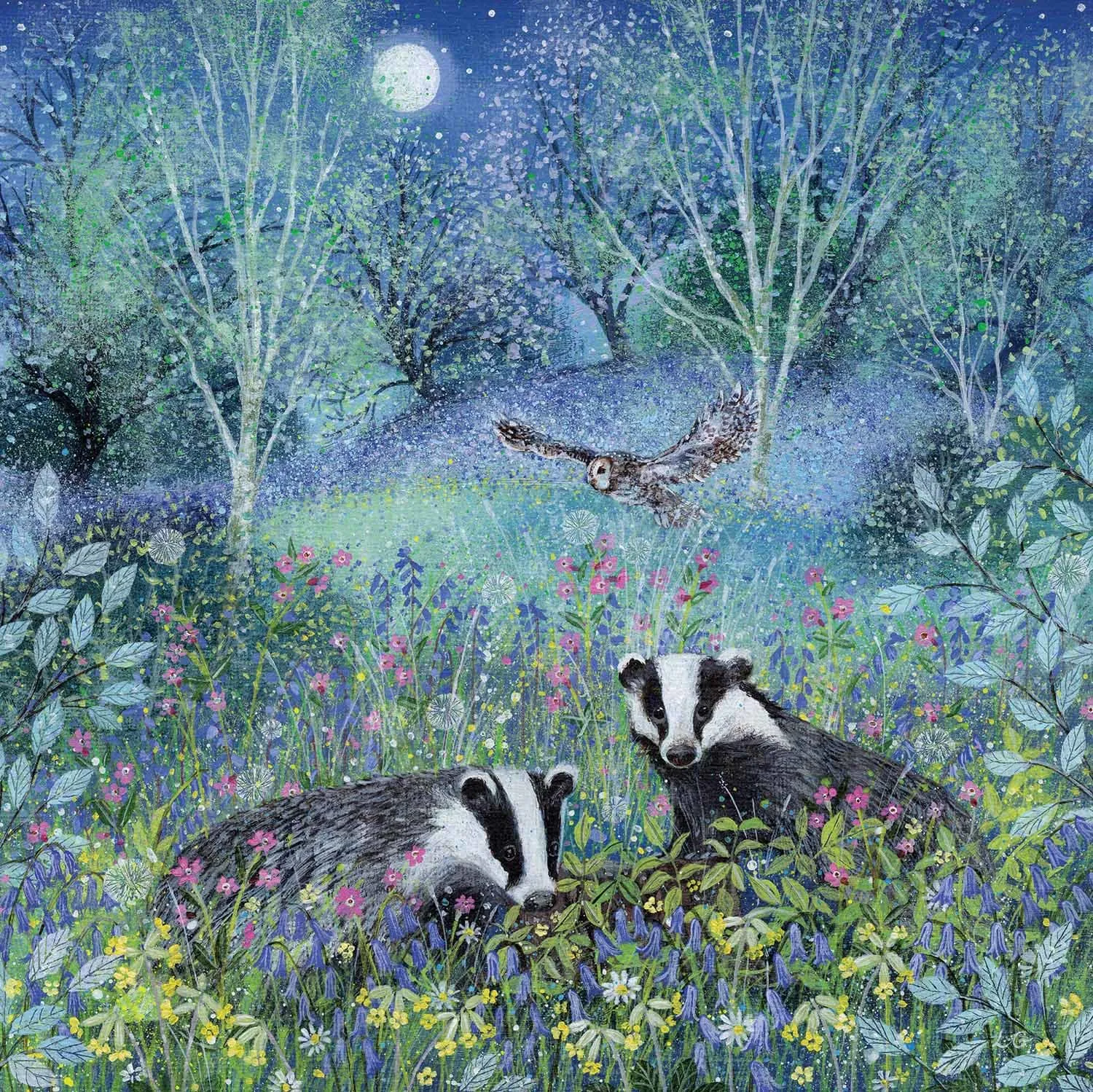 Summer Badgers