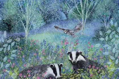 Summer Badgers jigsaw puzzle