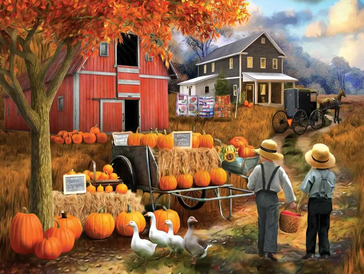 Amish Pumpkin Patch