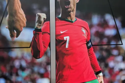 THE BEST jigsaw puzzle