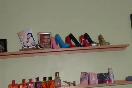 shelfs jigsaw puzzle