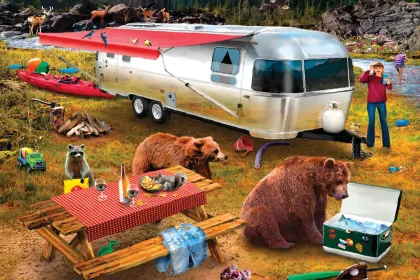 Camping Bandits jigsaw puzzle