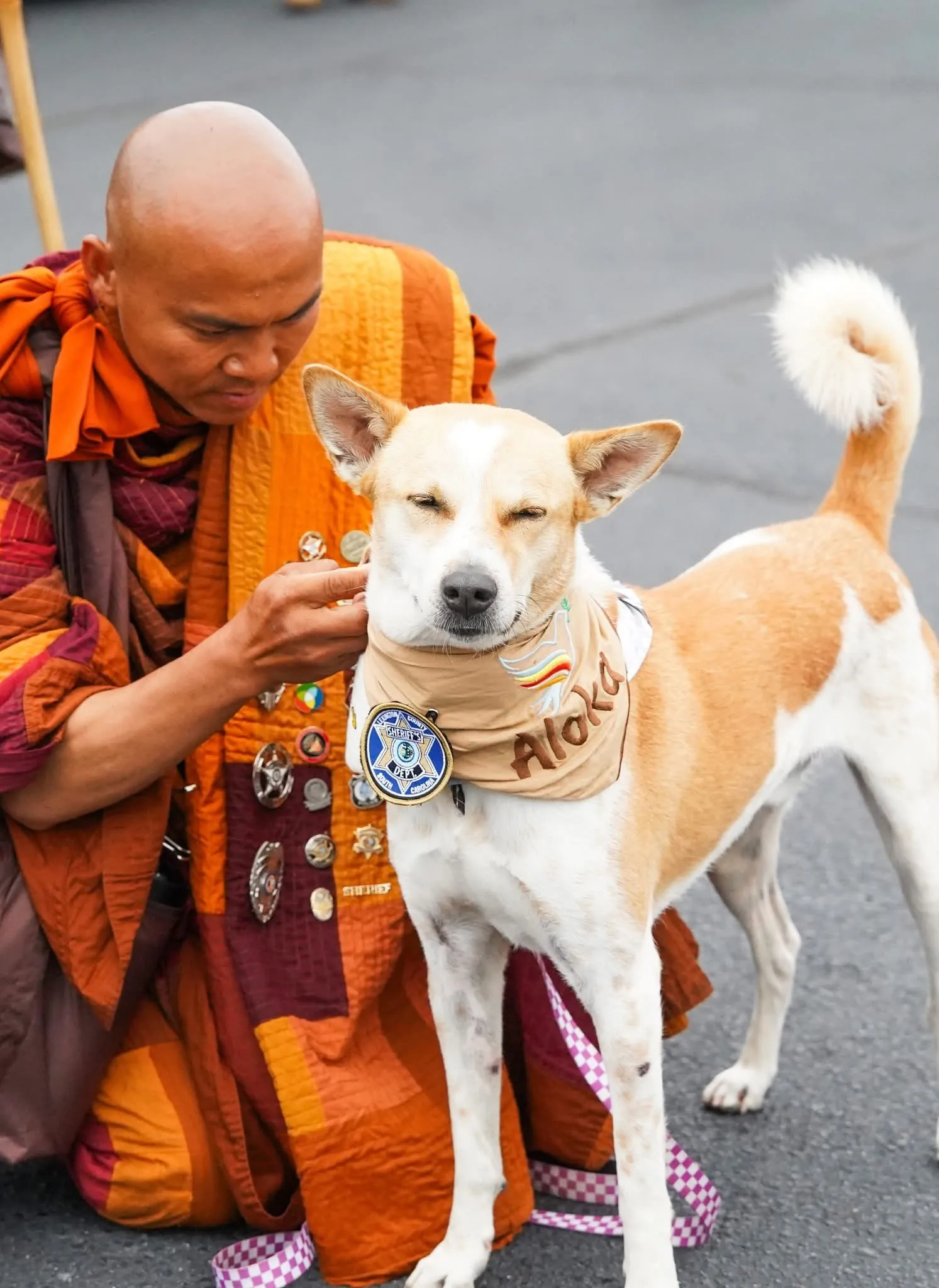 Aloka- Walk for Peace jigsaw puzzle