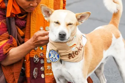 Aloka- Walk for Peace jigsaw puzzle jigsaw puzzle