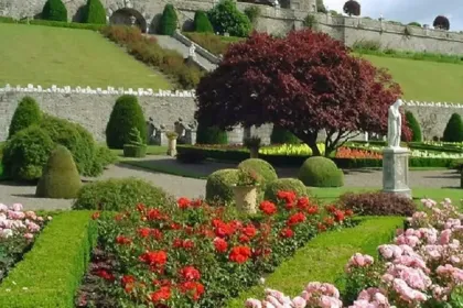 flower beds jigsaw puzzle