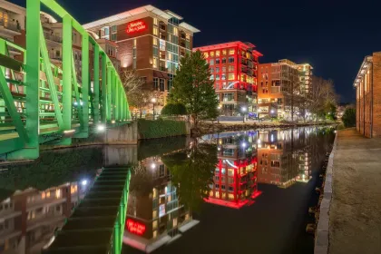 Reedy River jigsaw puzzle