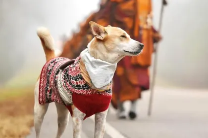 Aloka- Reunited jigsaw puzzle