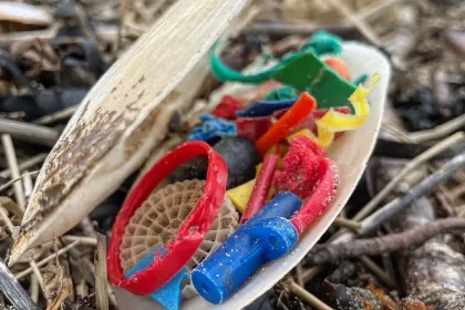 Bin the plastic jigsaw puzzle