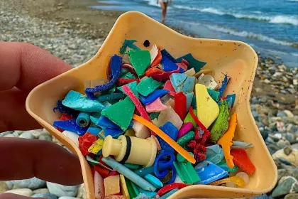 Keep beaches clean jigsaw puzzle