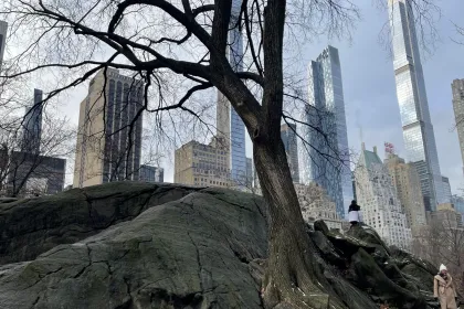 Central Park Skyline jigsaw puzzle