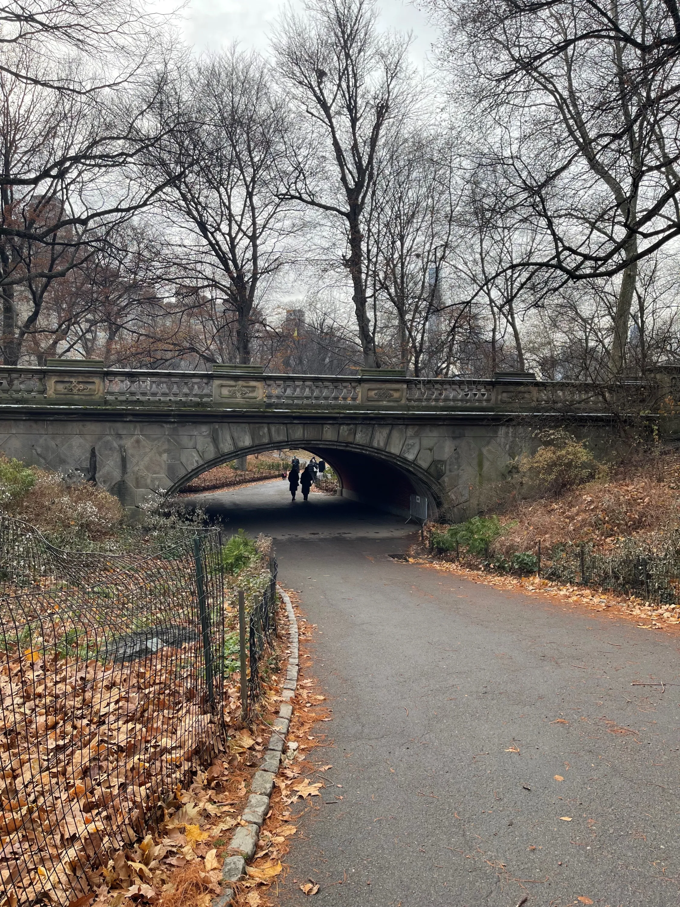 Central Park Bridge