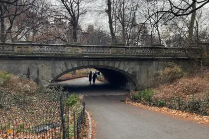 Central Park Bridge jigsaw puzzle