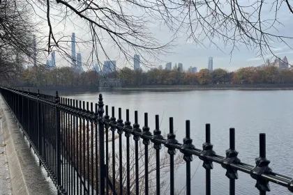 Central Park jigsaw puzzle