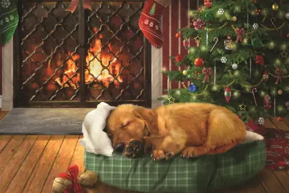 Christmas Dreams jigsaw puzzle