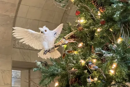 NYC Library-Christmas Tree jigsaw puzzle