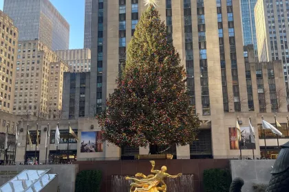 Rockefeller Center Christmas Tree- 2025 jigsaw puzzle