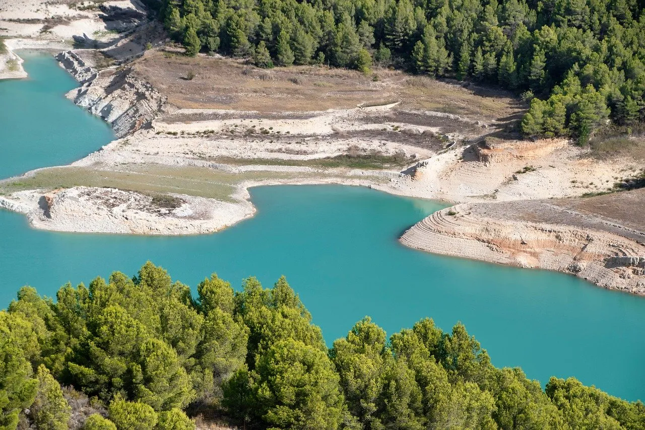 Blue lake surrounded by trees