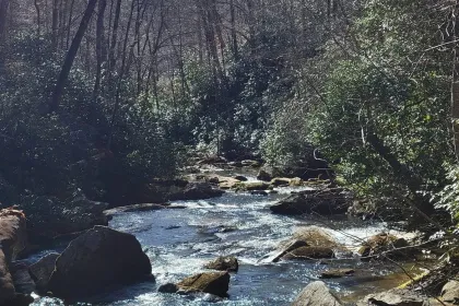 Mountain Stream jigsaw puzzle