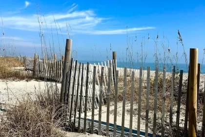 SC Beach Dunes jigsaw puzzle