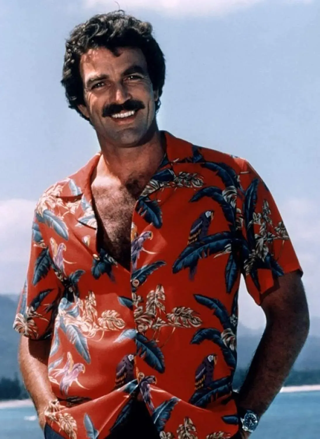 magnum p.i.