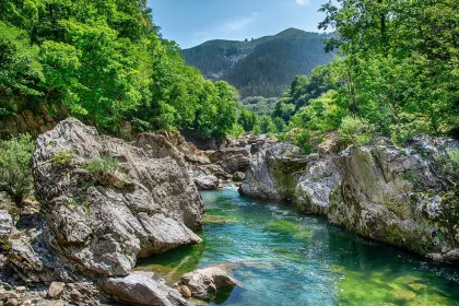 River Valley with Lush Vegetation jigsaw puzzle