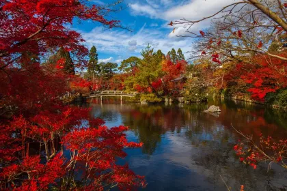 Autumnal Garden Serenity jigsaw puzzle