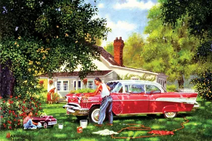 Wash Me jigsaw puzzle