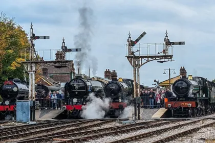 Bluebell jigsaw puzzle