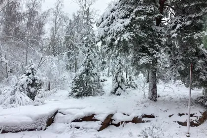 Beautiful winter jigsaw puzzle