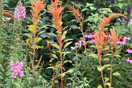 Spring Flowers jigsaw puzzle