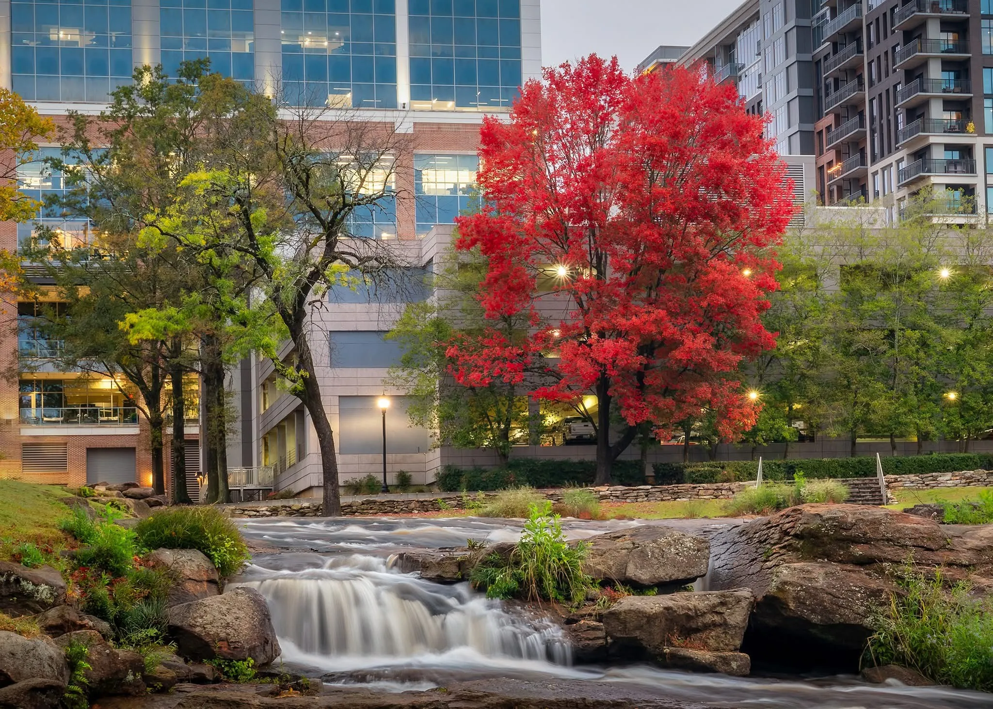 Falls Park- Greenville, SC