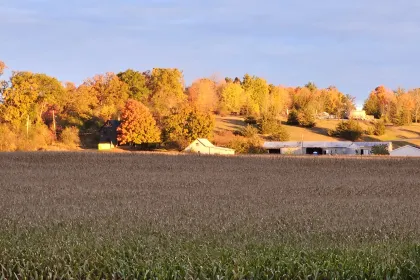 Stockdale Sunrise jigsaw puzzle