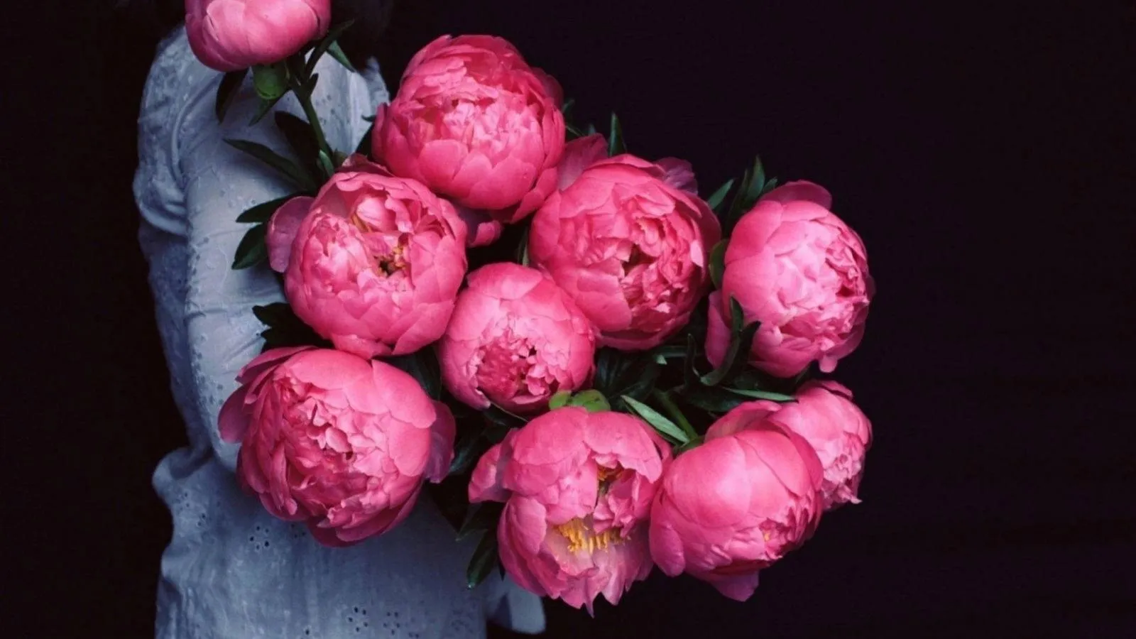 Pink Peonies