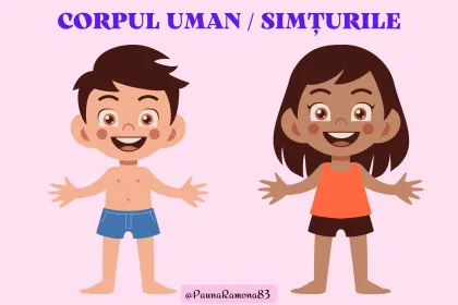 corpul jigsaw puzzle