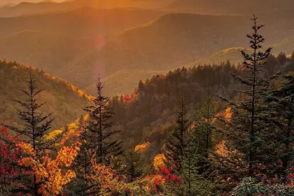 Blue Ridge Parkway- Anthony Crowley jigsaw puzzle