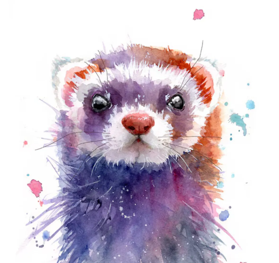 painted ferret jigsaw puzzle