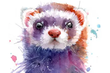 painted ferret jigsaw puzzle jigsaw puzzle