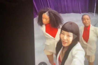 Just a gall, jigsaw puzzle