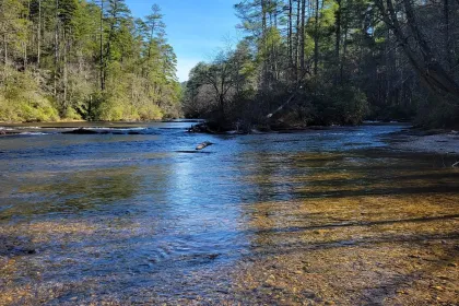 Chattooga River- NC jigsaw puzzle