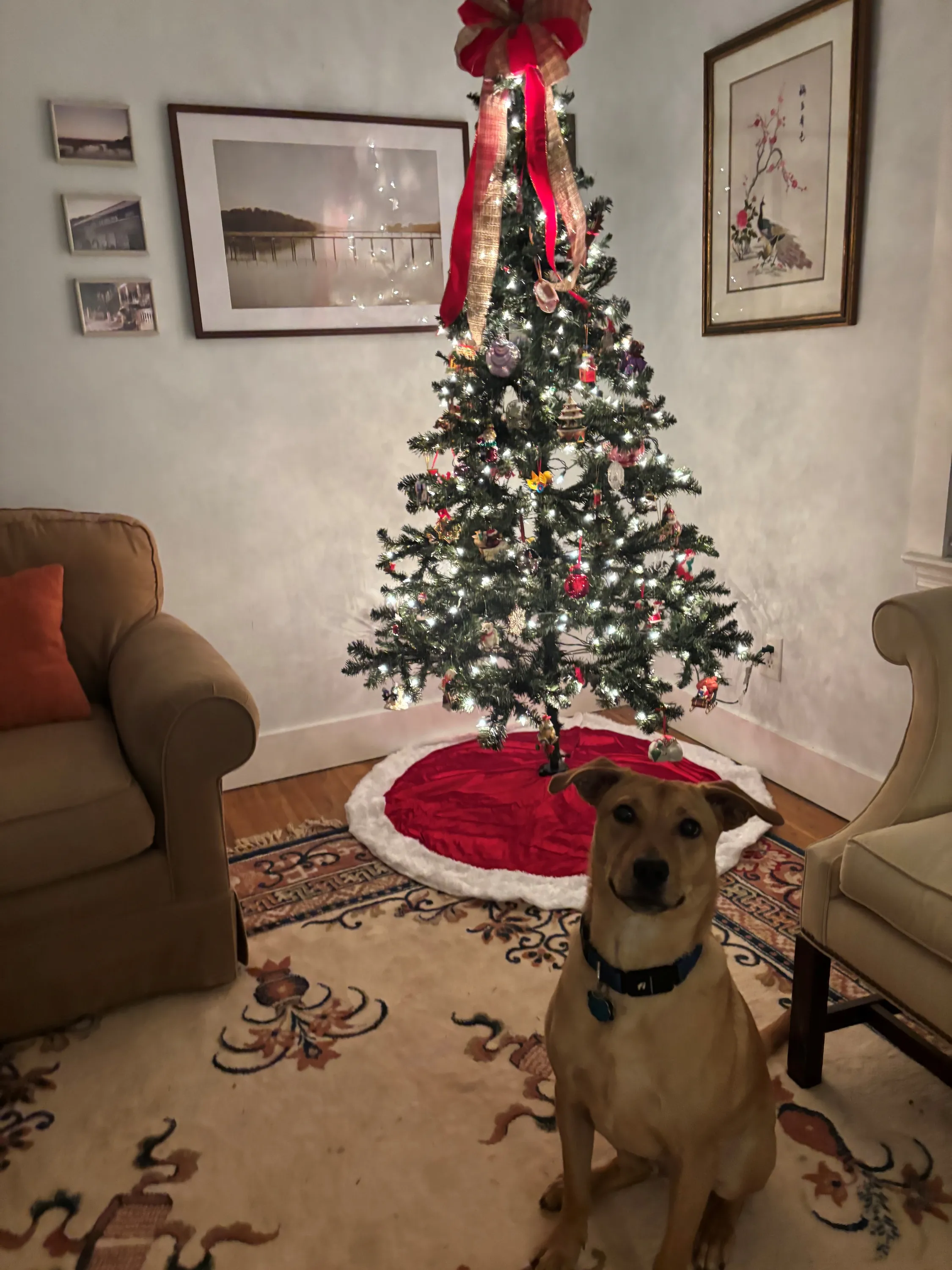 Christmas with Goose