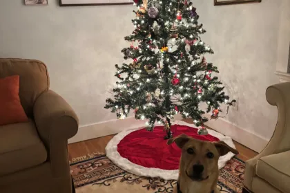 Christmas with Goose jigsaw puzzle