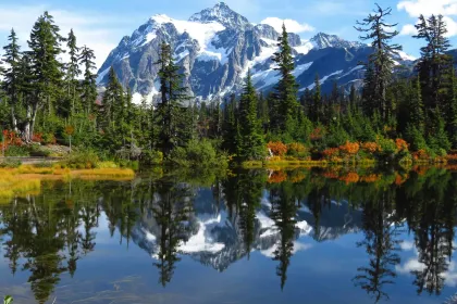 beautiful scenery jigsaw puzzle